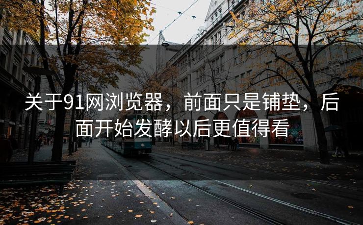 关于91网浏览器，前面只是铺垫，后面开始发酵以后更值得看