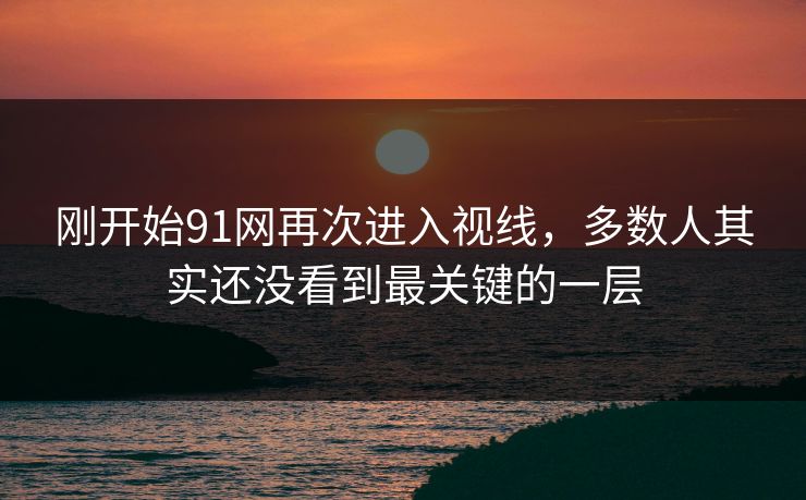 刚开始91网再次进入视线，多数人其实还没看到最关键的一层  第1张