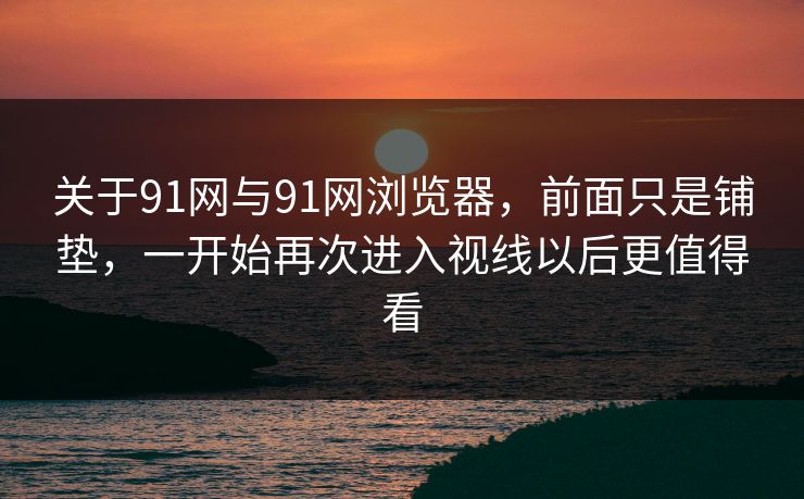 关于91网与91网浏览器，前面只是铺垫，一开始再次进入视线以后更值得看  第1张