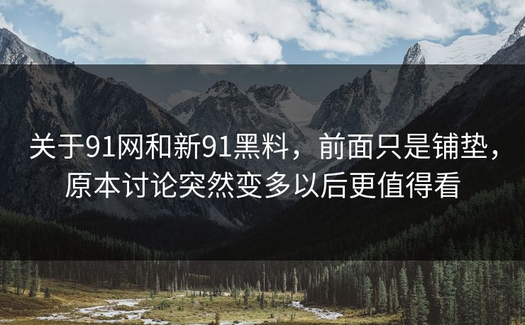 关于91网和新91黑料，前面只是铺垫，原本讨论突然变多以后更值得看  第1张