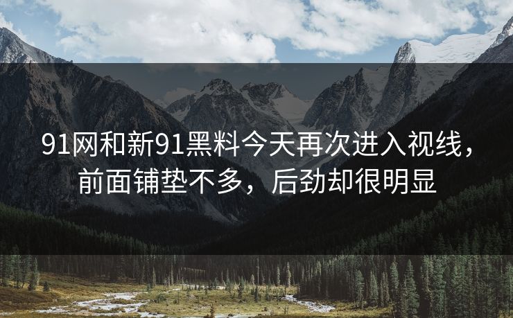 91网和新91黑料今天再次进入视线，前面铺垫不多，后劲却很明显  第1张