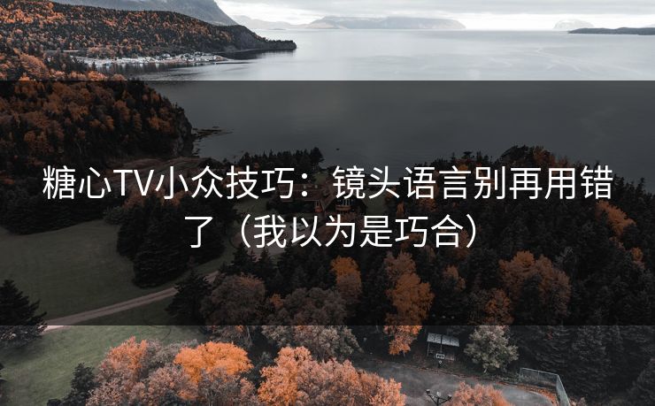 糖心TV小众技巧：镜头语言别再用错了（我以为是巧合）  第1张