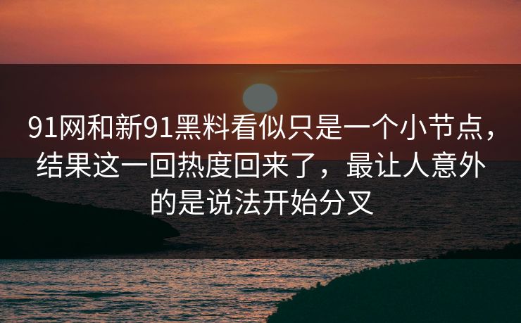 91网和新91黑料看似只是一个小节点，结果这一回热度回来了，最让人意外的是说法开始分叉  第1张