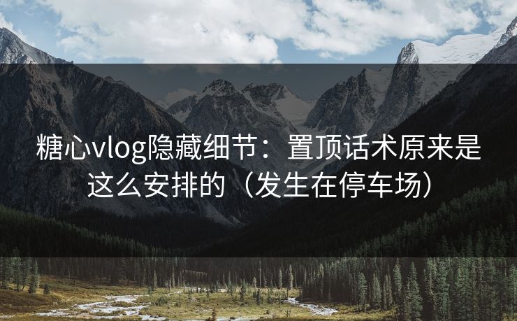 糖心vlog隐藏细节：置顶话术原来是这么安排的（发生在停车场）  第1张