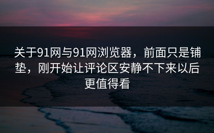 关于91网与91网浏览器，前面只是铺垫，刚开始让评论区安静不下来以后更值得看  第1张